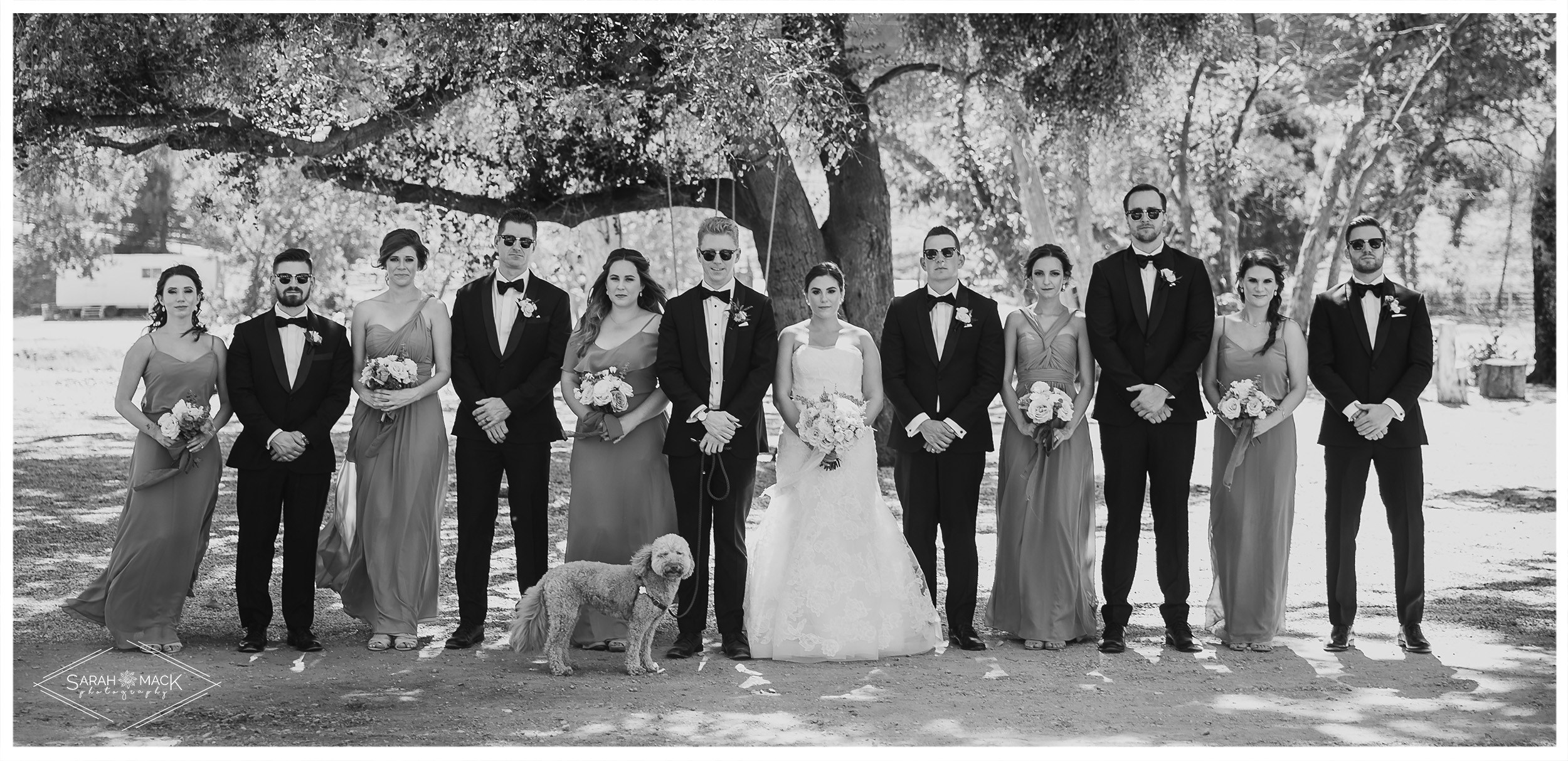 LG Triunfo Creek Vineyard Agoura Hills Wedding Photography
